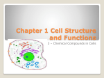 Chapter 1 Cell Structure and Functions
