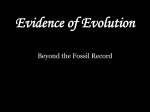 Evidence of Evolution - St. Helens School District / Overview