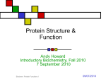 Enzyme Properties - Illinois Institute of Technology