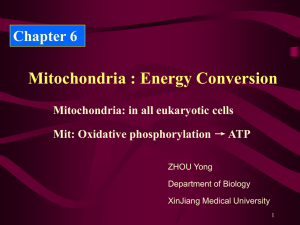 Introduction to the study of cell biology