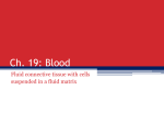 Ch. 19: Blood