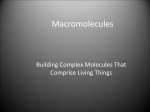 macromolecules-S04Biology
