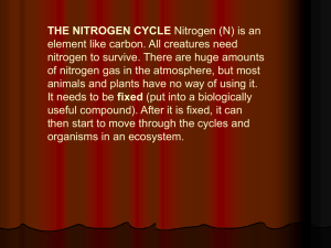 Explanation of Nitrogen Cycle