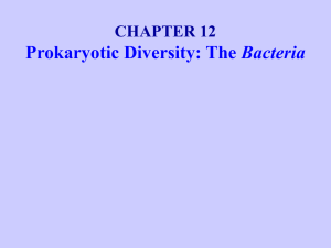 Prokaryotic Diversity: The Bacteria