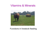 Vitamins & Minerals