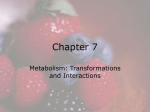 Metabolism