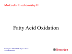 Fatty Acid Oxid