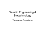 Genetic Engineering & Gene Therapy