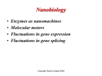 Chapter 10 Nanobiology