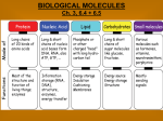 Student PPT Notes