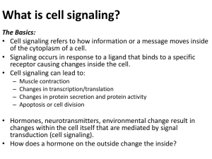 How does the ligand-receptor interaction of a hormone mediate