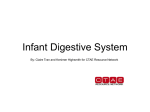Infant Digestive System PowerPoint