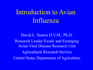 Overview of Avian Influenza