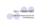 CELL TRANSPORT