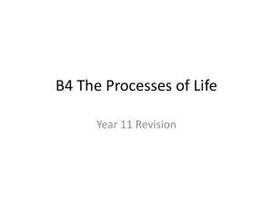 B4 The Processes of Life - Blackpool Aspire Academy