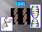 DNA - TeacherWeb