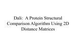 Dali: A Protein Structural Comparison Algorithm