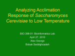 Analyzing Acclimation Response of
