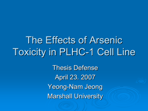 The Effects of Arsenic Toxicity in PLHC-1 Cell Line
