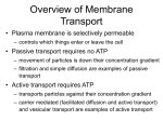 Celltransport3