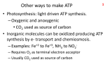 Other ways to make ATP