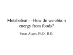6) Metabolism