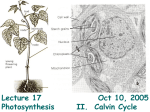 17 photosynth 2 10 10 05