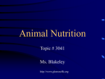 Animal Nutrition