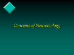 Concepts of Neurobiology - Austin Community College