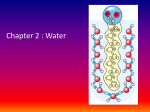 NH 3 + Glycine = CH 2 -COO - General Biochemistry Homepage