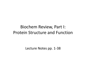 Biochem Review, Part I: Protein Structure and Function