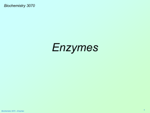 Enzymes - Weber State University