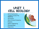 Unit 1 – Life on Earth