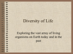 Diversity of Life - Marblehead High School