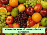 Alternative ways of monosaccharides metabolism