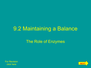 Point_1a_-_Role_of_enzymes