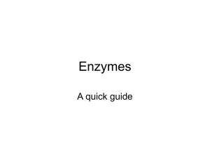 Enzyme Notes