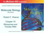 Chapter 19 Lecture PowerPoint - McGraw Hill Higher Education
