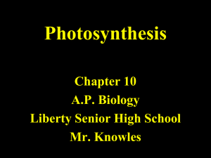 Chapter 10 Photosynthesis Part 2