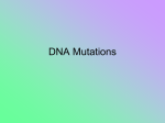 DNA Mutations PPT
