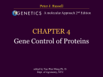 CHAPTER 4 Gene Function