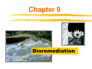 Biotechnology and the Environment: Microbial Ecology