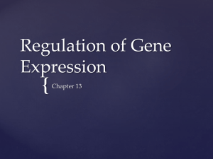 Regulation of Gene Expression