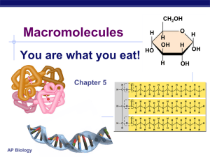 Chapter 5 Notes- Macromolecules