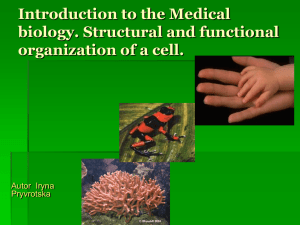 Introduction to the Medical biology
