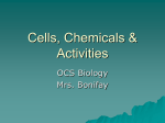 Cells, Chemicals & Activities