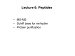 Lecture 6: Peptides