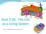 Goal 2.03 Cell Processes