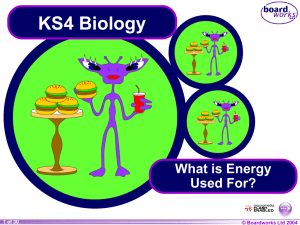 What is Energy Used For?