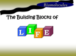 Biomolecule Elements its made from